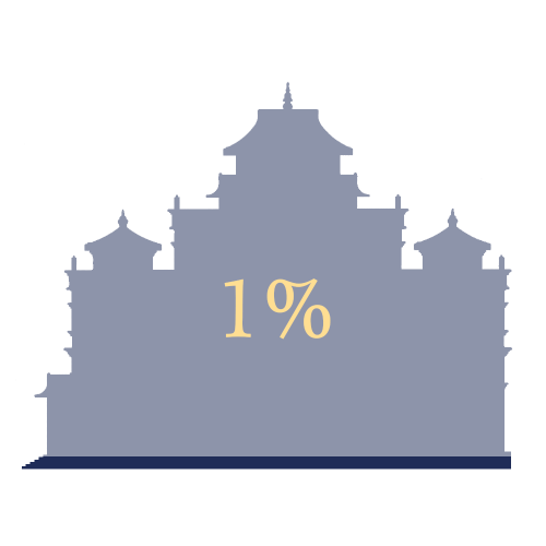 projekt 1%